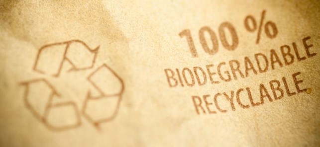 green sostenibilità riciclo 100% biodegradabile bilancio 2023